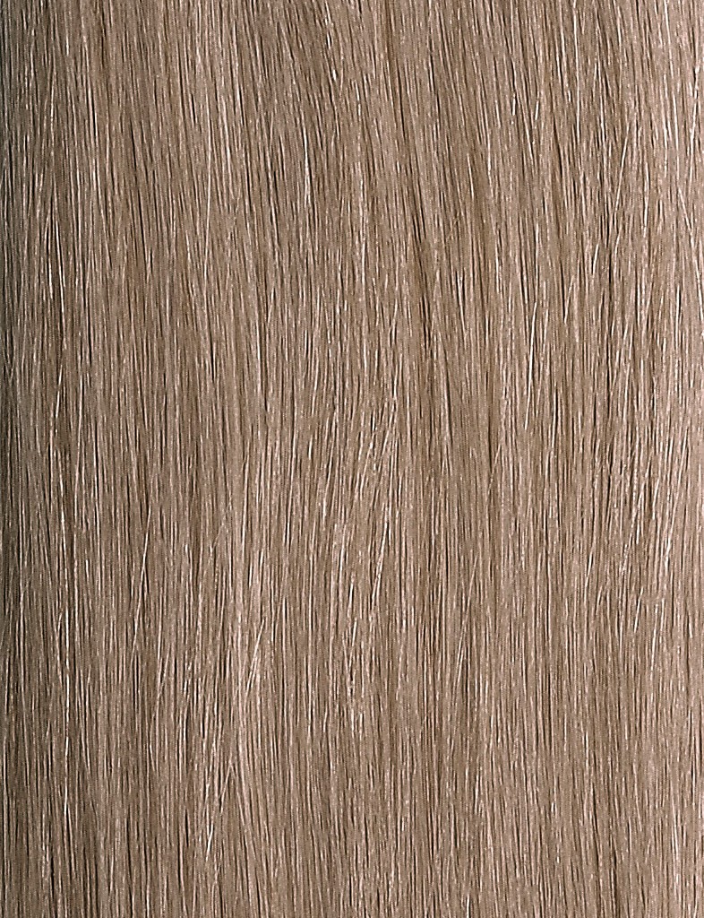 Clip in Hair Extensions Beige Ash Blonde #18 • 120g • Hair Extensions ...